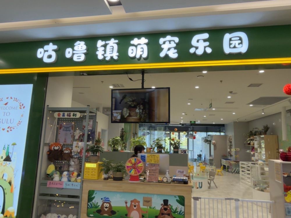 怎么让宠咖会员主动续充？来看看咕噜镇的生意经